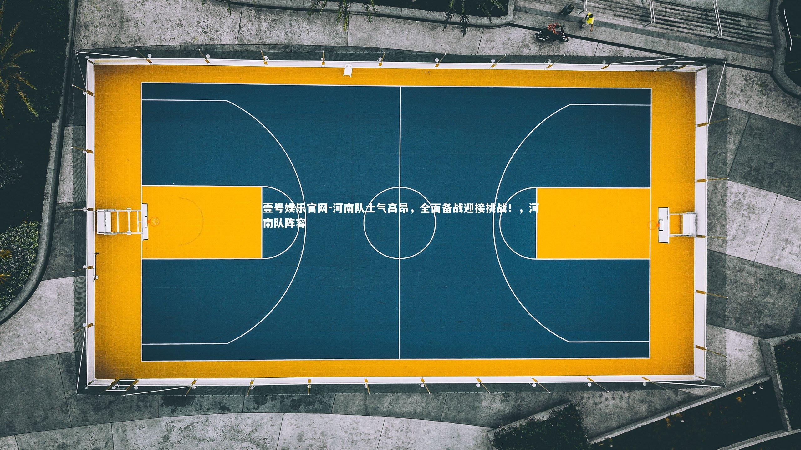 河南队士气高昂，全面备战迎接挑战！，河南队阵容