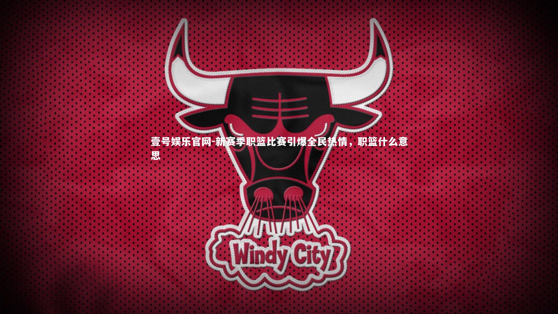 新赛季职篮比赛引爆全民热情,职篮什么意思